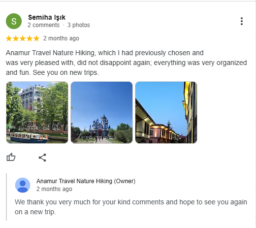 Google Review 3