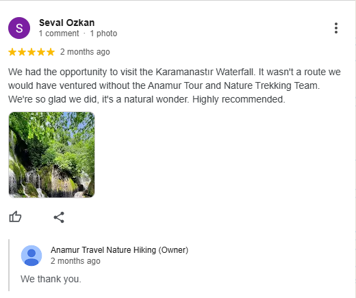 Google Review 4