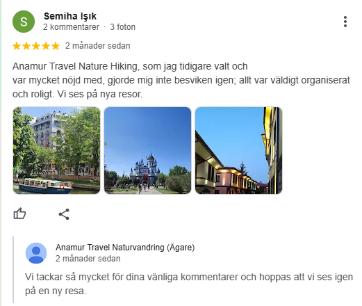 Google Review 3