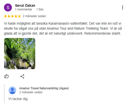 Google Review 4