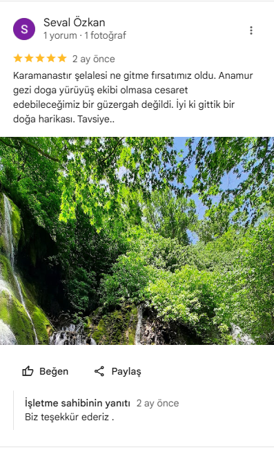 Google Review 4