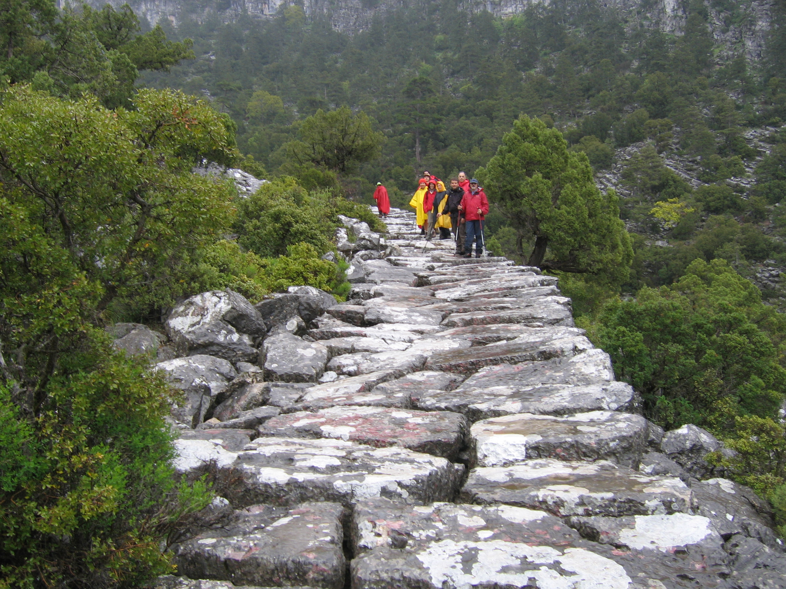 Saint Paul Trail Photo